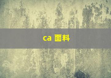 ca 面料